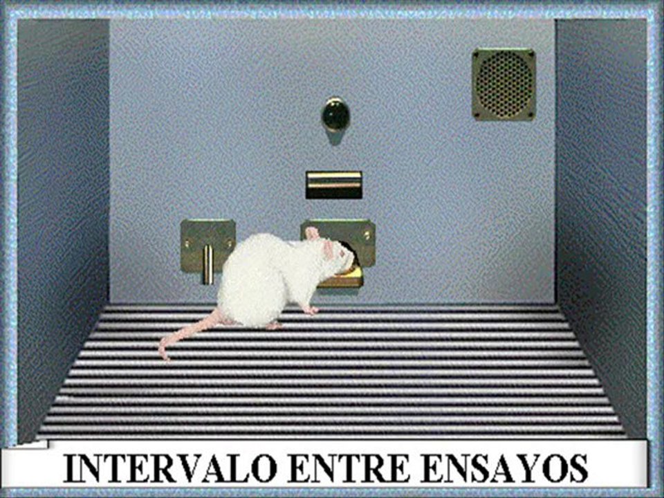 REC2