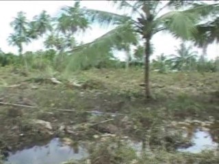 Indonesia tsunami death toll tops 400