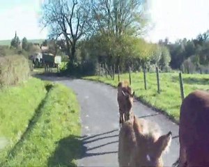 Quelques moments de bonheur...