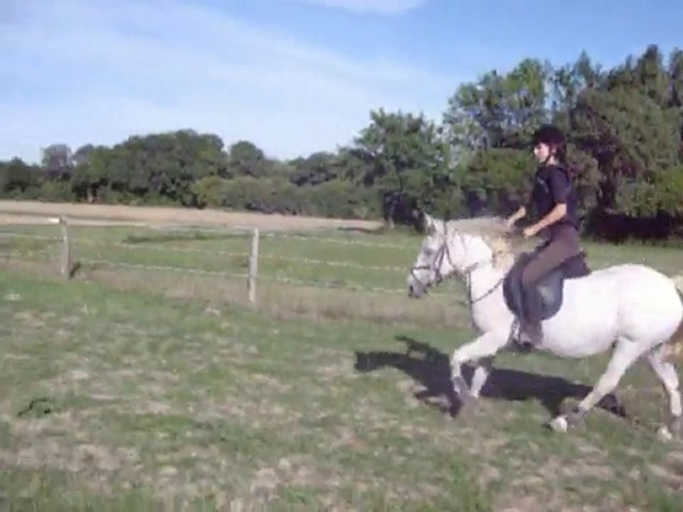 new puissance 1 cso galina et moi