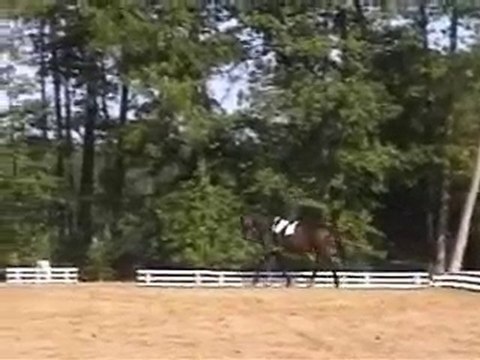 REVE DRESSAGE ANEE 2010 5ANS