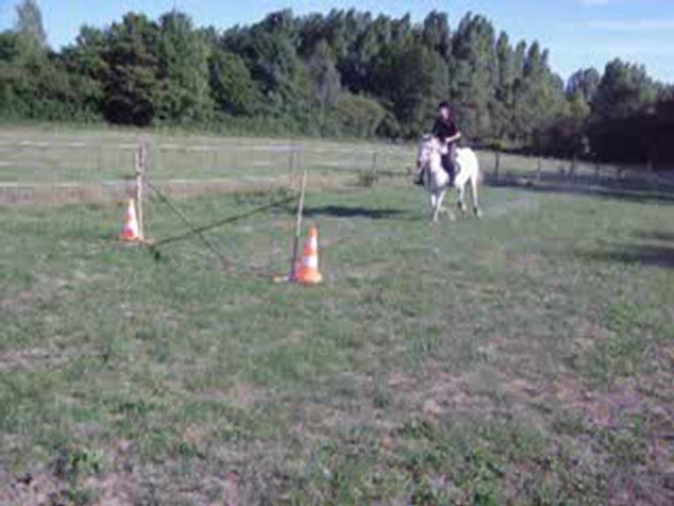 la  new mini puissance 0 cso