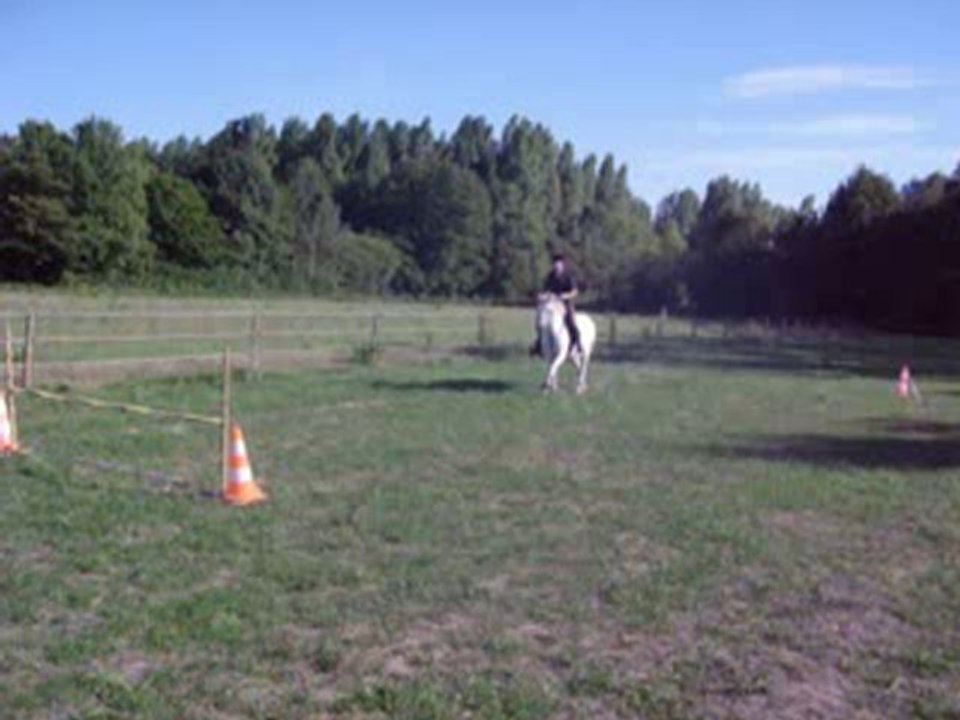 la new puissance 3 cso galina et ma louloute