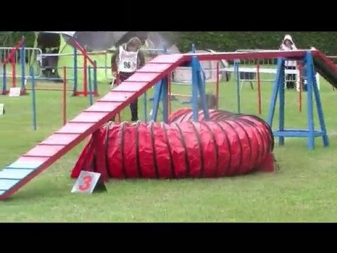 Buck Agility Pierrelatte 24/10/10