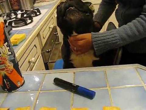 Ecrire sur des tuiles Pringles Xtreme