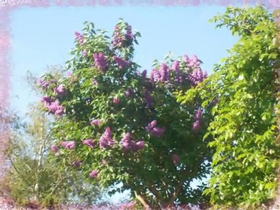 Pour le plaisir des yeux