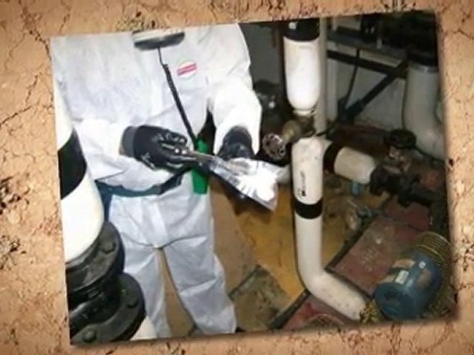 Grants for Asbestos Removal Avondale AZ
