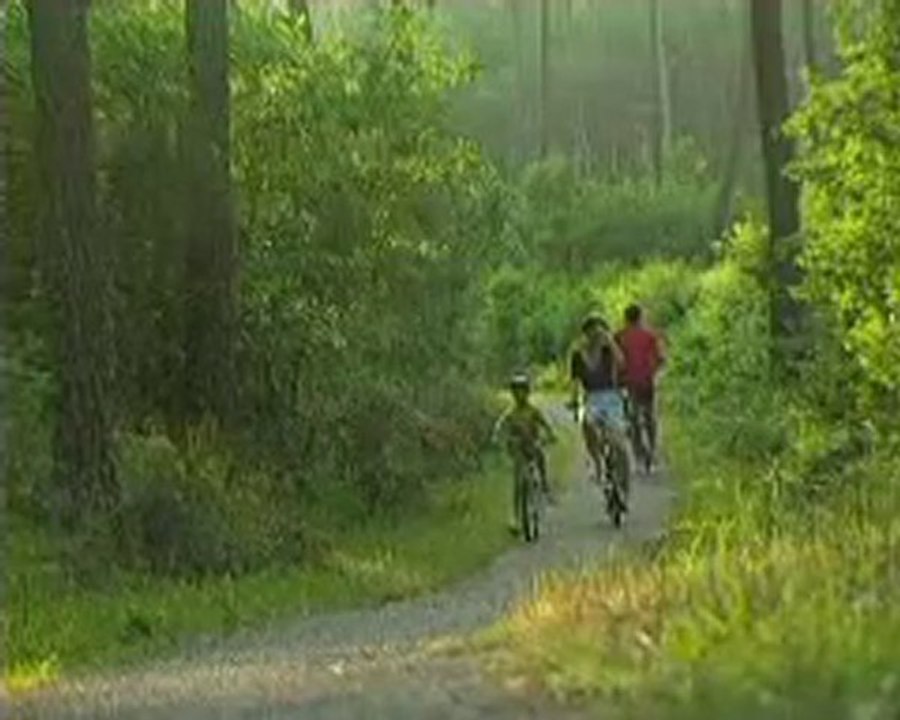 Découverte des Landes