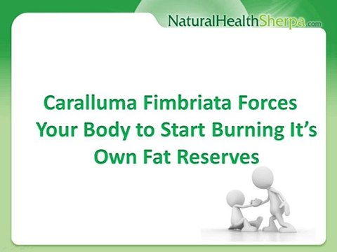 How Caralluma Fimbrimbriata Can Kickstart Your Metabolism