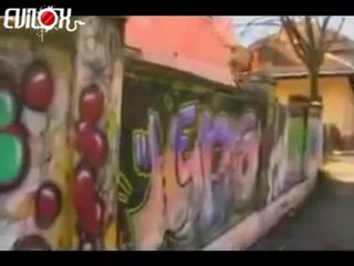 un chien qui fait du sport