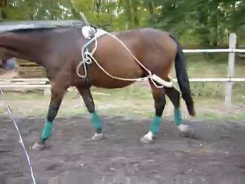 29102010 Galant pessoa 009