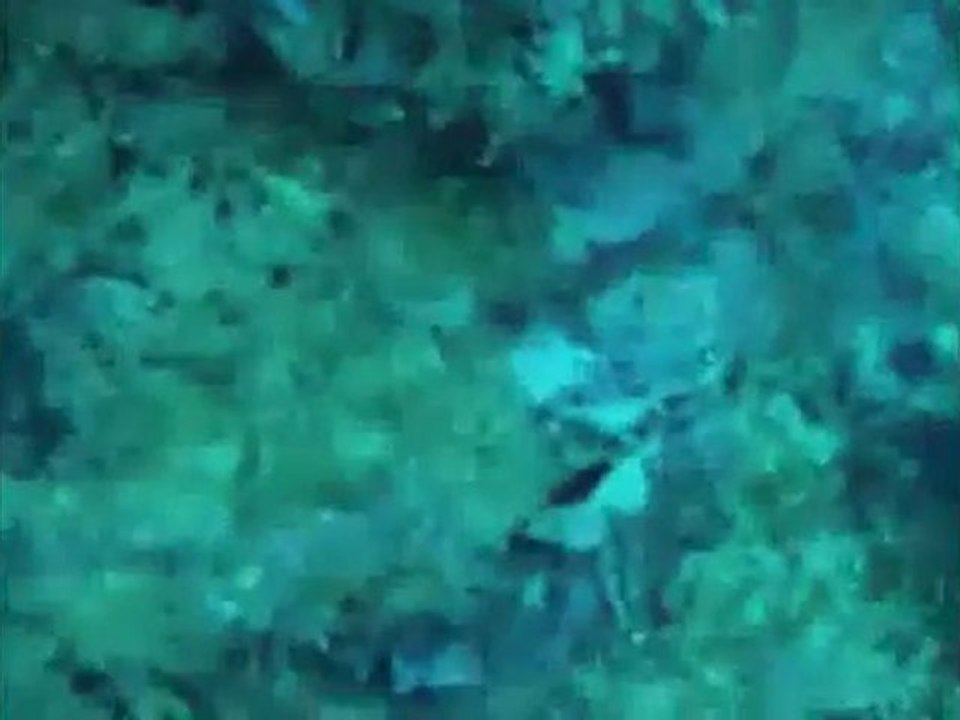 ACAPULCO SCUBA SNORKELING SNUBA & WATER SPORTS