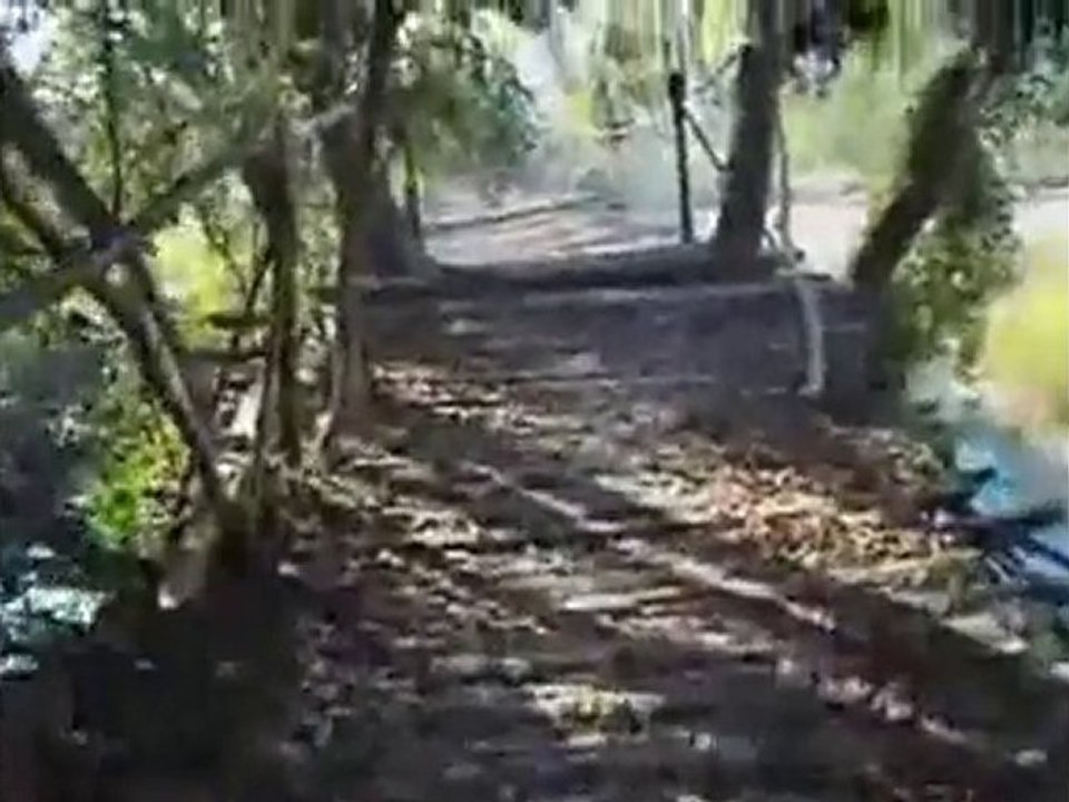 MANGROVE WALKING TOUR PARAISO DE LOS MANGLARES near Acapulco