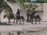 HORSE BACK RIDING  in Acapulco on a tour by van with Rudy