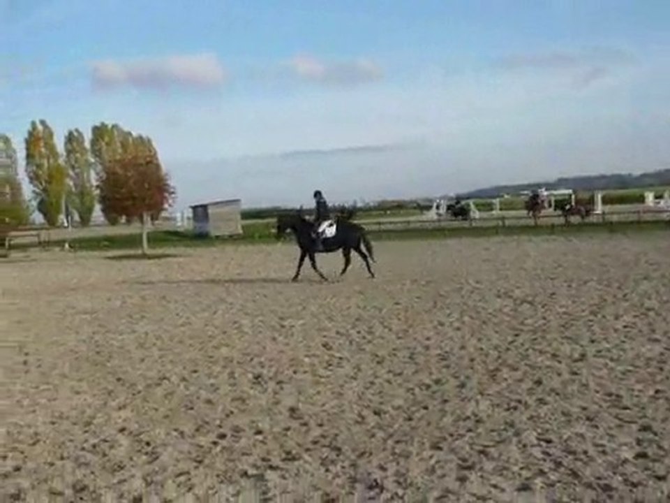 Run to me 28oct 2010