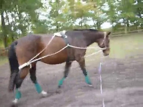 29102010 Galant pessoa 008