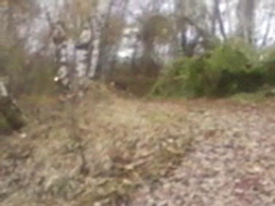 Essai tgb 550 irs par mortif