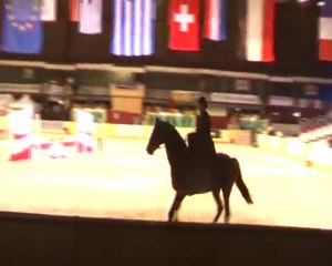 dolores amazone ainhoa Haras du pin gala