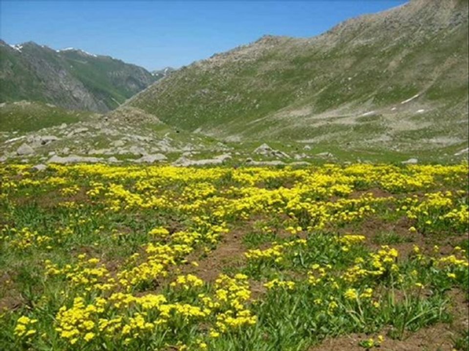 kaçkarlar-hemşin tulum-www.kavrun.tr.gg