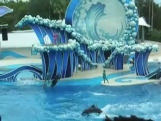 Yunus Gösterisinde Kaza