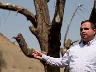 süreyya sana geleyim