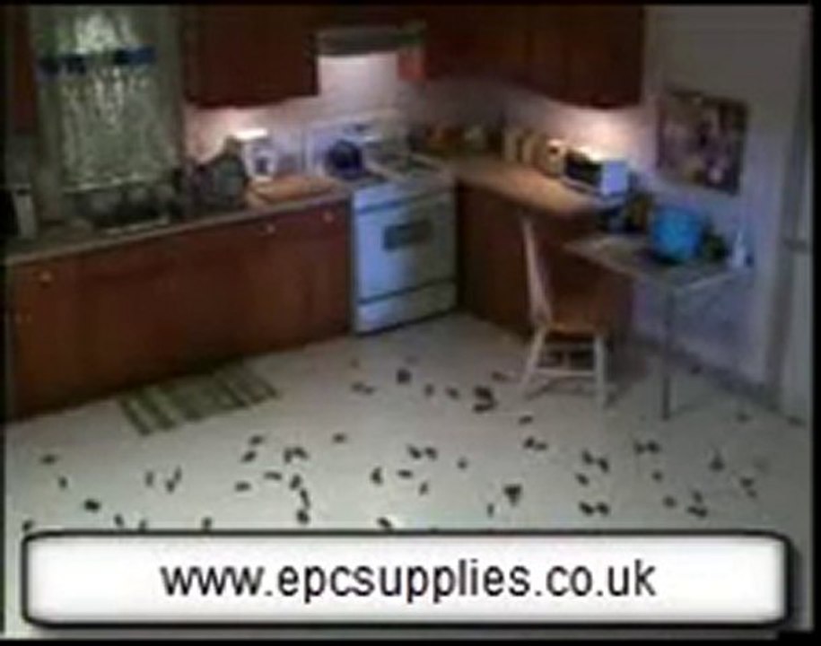 Pest Control Products