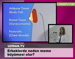 OP.DR.ESER AYDOGDU ERKEKLERDE MEME BÜYÜMESİ NEDEN  OLUR