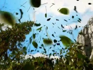 Ayı Yogi 3D Fragman