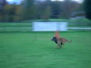 RING: elboy 10 mois l'en avant