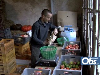 Ils font autrement (5): Benjamin, "le paysan de famille"