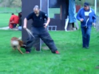 RING: elboy 10 mois decouverte de la rechetrche