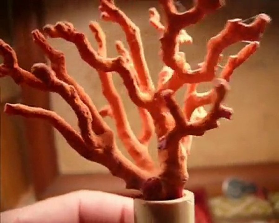 ~~ CORAIL ROUGE CREATIONS ~~