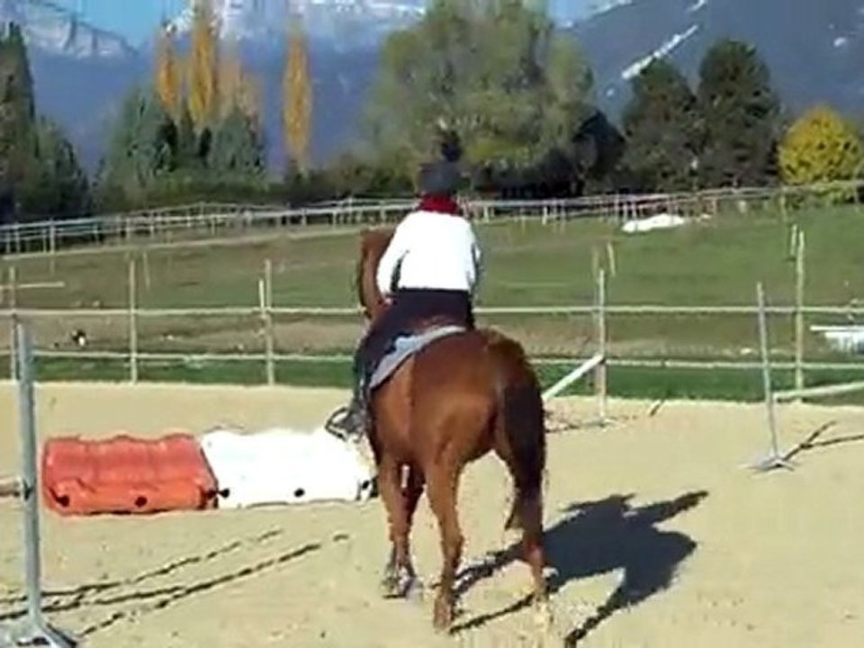 séance d'ostacle du 27/10 Divine