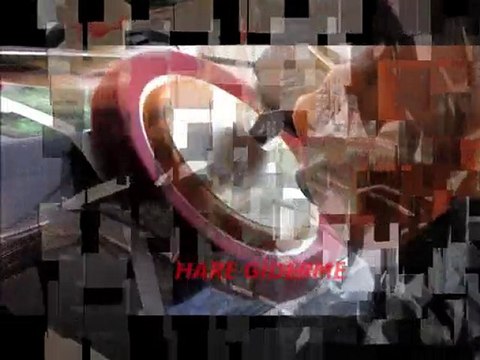 Otobiyografi Boya Koruma