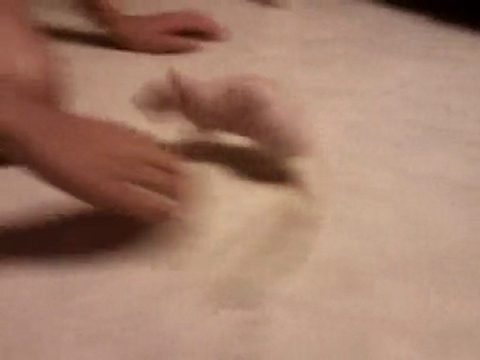 Drôle de comportement de ma rate