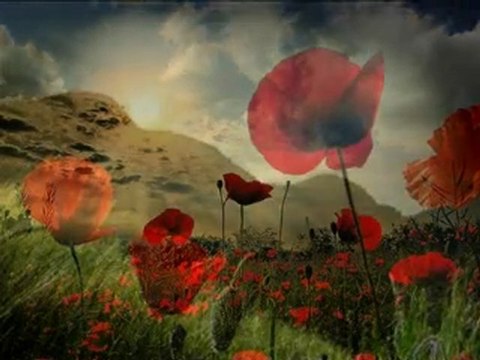 ABBAS TURAN - O DAĞLARIN NERESİNDE KALDIN SEN