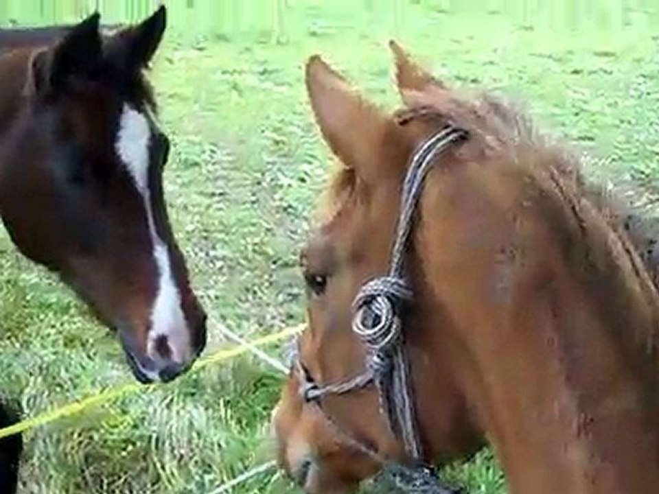 divine en extérieur