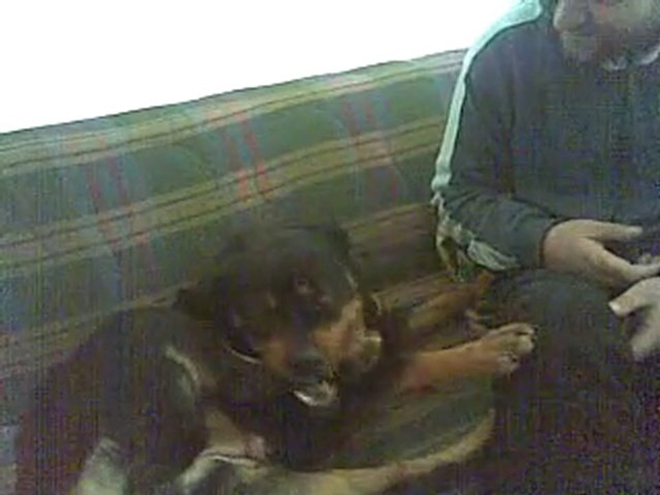 02012009 zeynamm :)