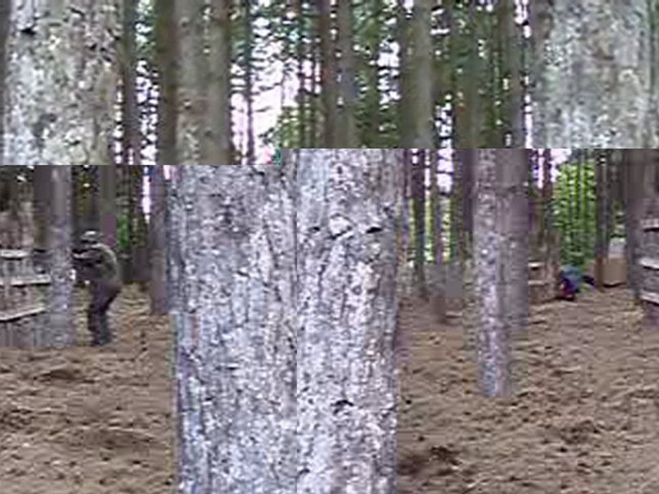 2010-07-25-Airsoft-b