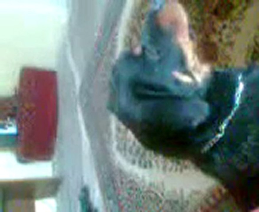 baronum :)