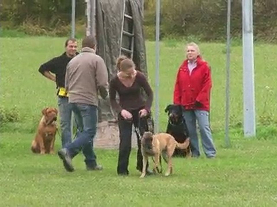 Entrainement refus d'appats