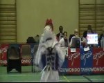 Taekwondo puiseaux cyril jason 2010
