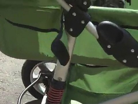 Canada's Coolest Dog Stroller for Older Dogs