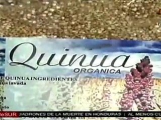 Se realiza en Ecuador Feria de Comercio Justo para democrati