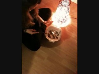 Harry Potter à Montpellier - Les feuilles de thé