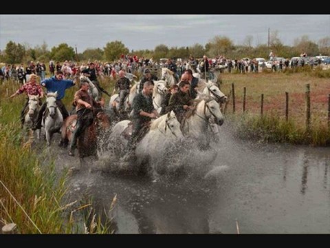 AIGUES MORTES OCT 2010