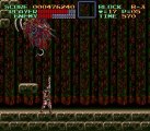 Castlevania IV : how to beat Death (2nd quest)