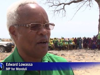 'Serengeti Highway' threatens East Africa's great migration