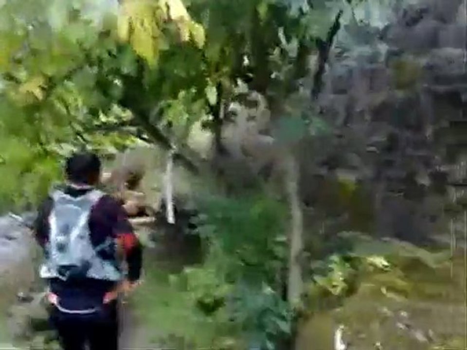 la grande course des templiers