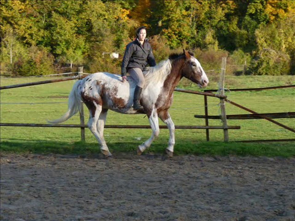 liberté saut 30 oct 2010